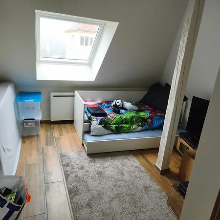 Cosi Apartment Haguenau