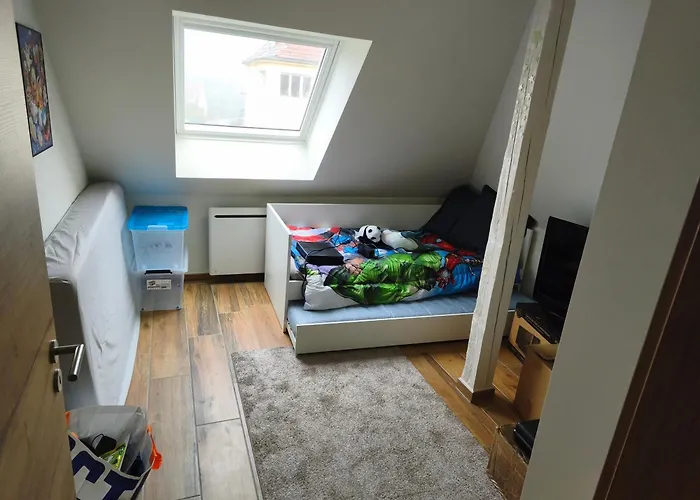 Cosi Apartment Haguenau